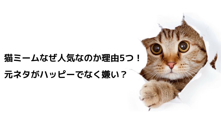 猫ミームなぜ人気なのか